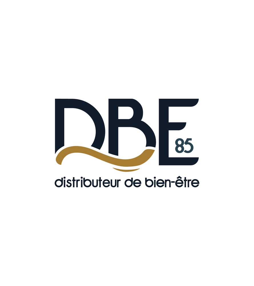 DBE85 logo identite visuelle site internet agence owmel saint gilles croix de vie vendee 5