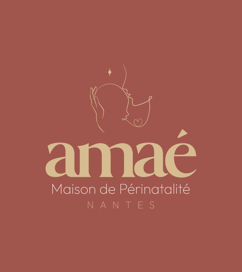 amae nantes logo identite visuelle site internet agence owmel saint gilles croix de vie vendee 6