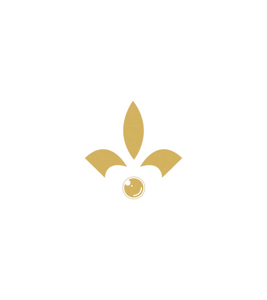 pelliculys logo identite visuelle site internet photographe agence owmel saint gilles croix de vie vendee 1