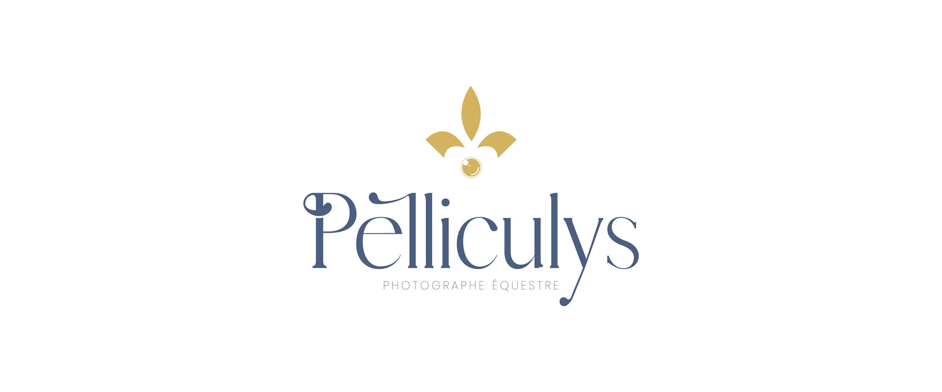 pelliculys logo identite visuelle site internet photographe agence owmel saint gilles croix de vie vendee 4