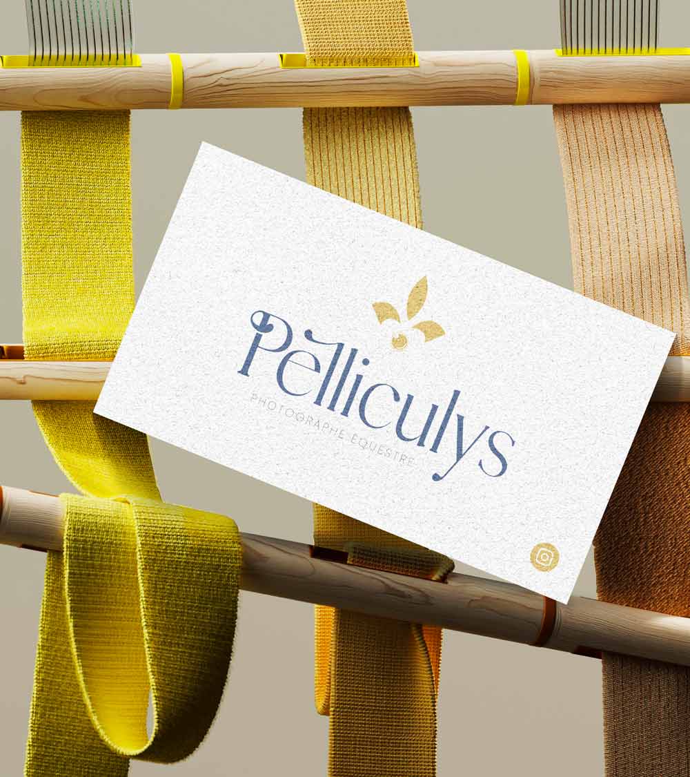 pelliculys logo identite visuelle site internet photographe agence owmel saint gilles croix de vie vendee 5
