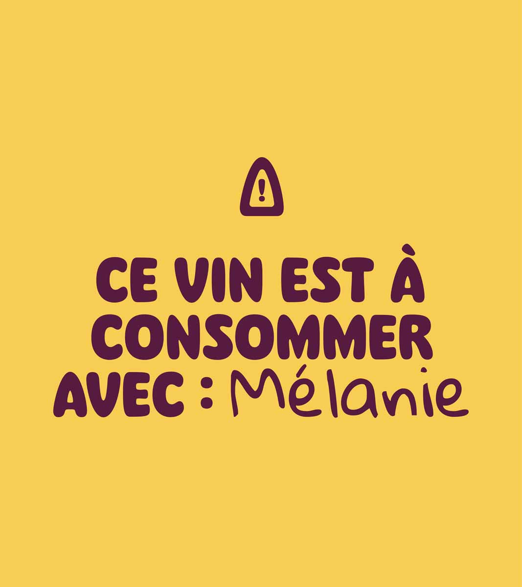 Agence de communication Graphiste Site internet Logo a Saint Gilles Croix de VIe en Vendee La Jajanaise 12