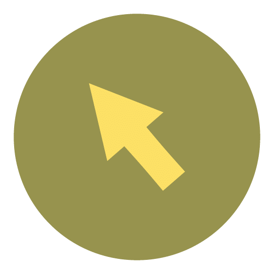 Icon site web