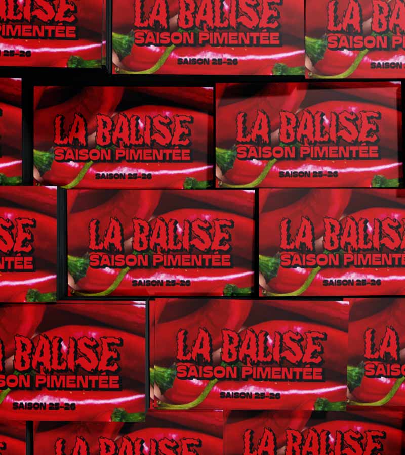 charte graphique salle de spectacle en vendee saison culturelle la balise agence owmel