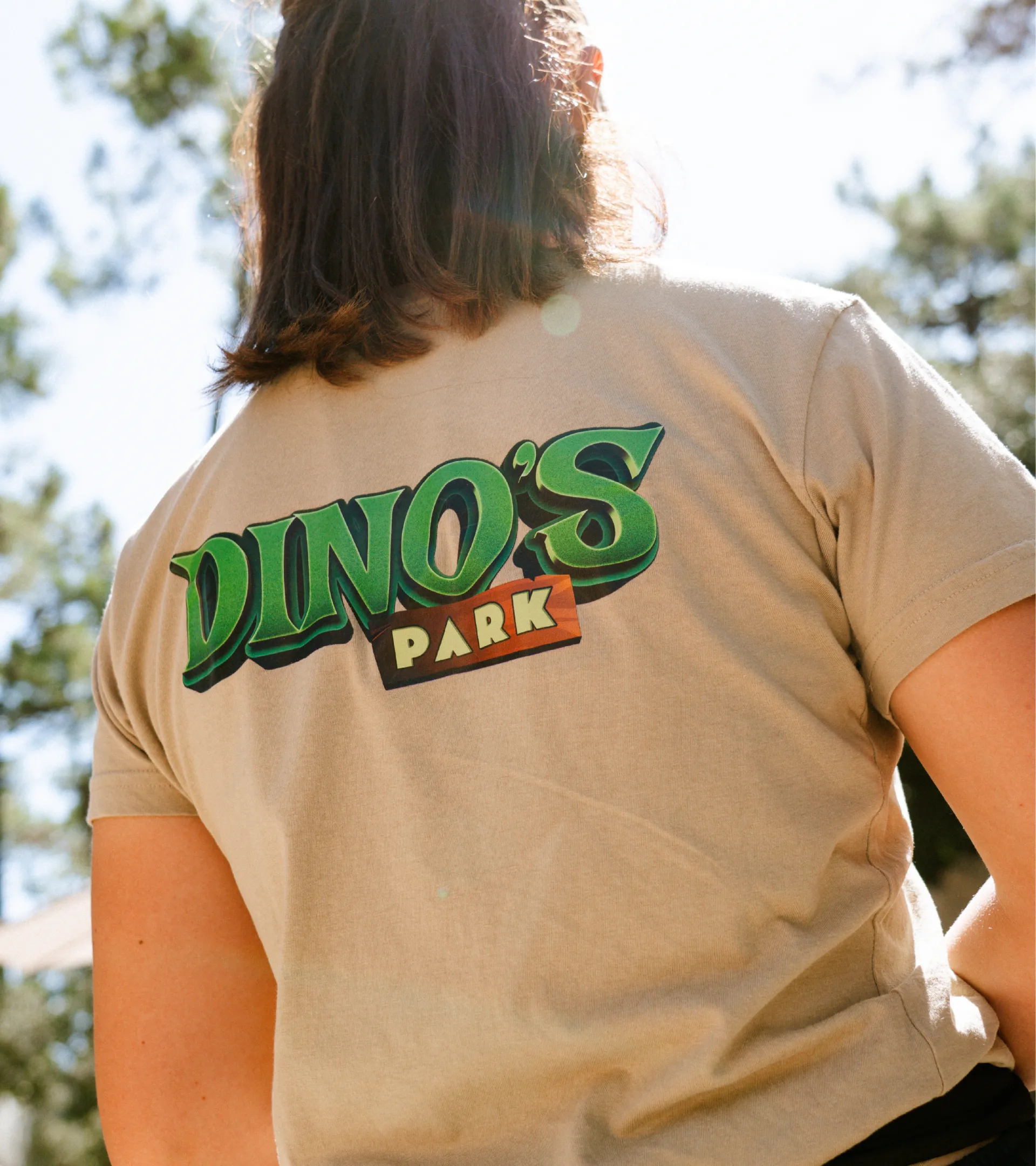 Agence Owmel identite visuelle branding DinosPark8