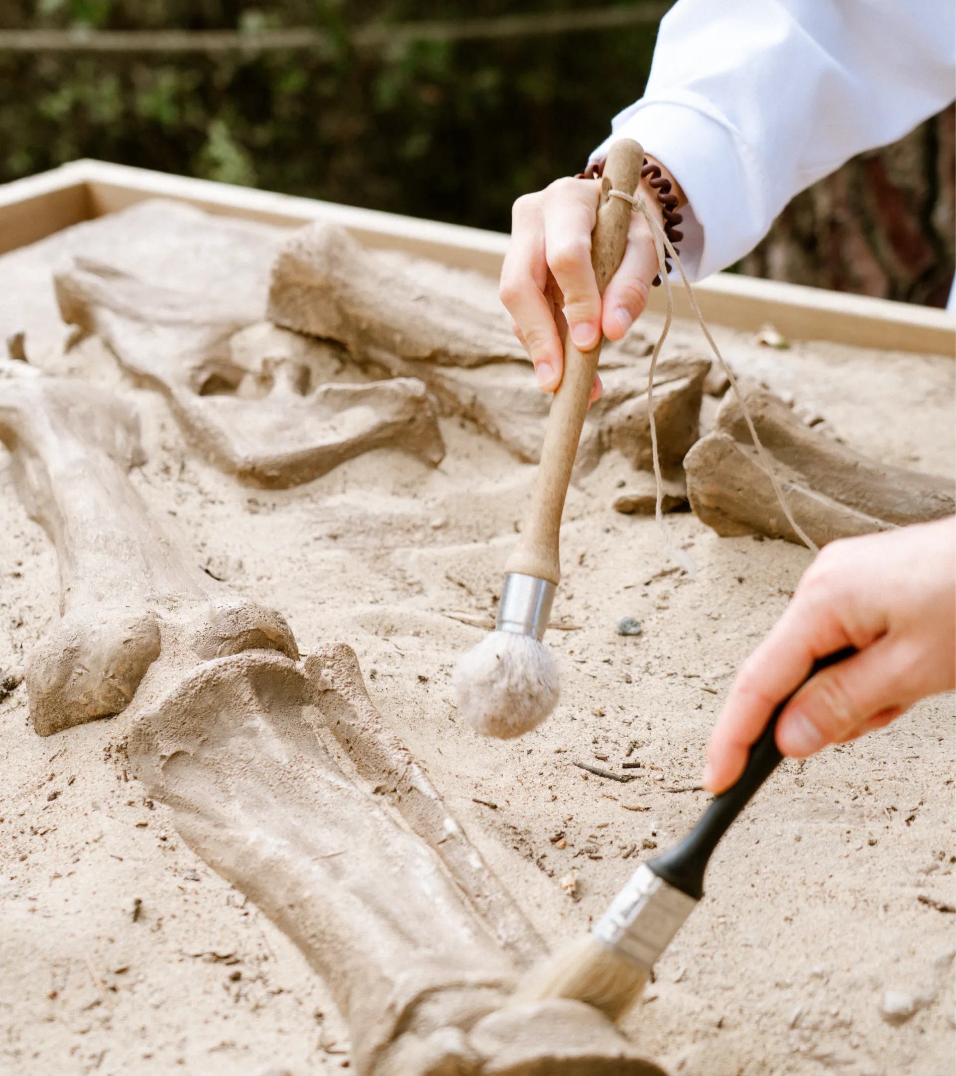Agence Owmel identite visuelle branding DinosPark9